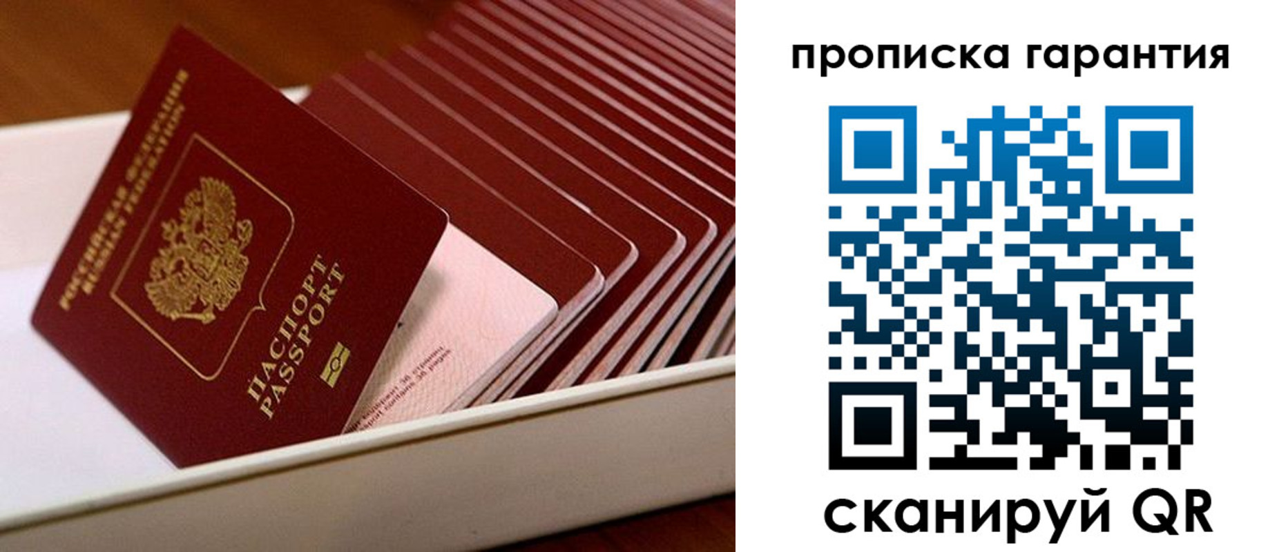 прописка поиск в Протвино